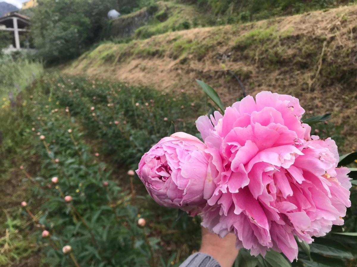 Agriturismo Sancristoforo レヴァント エクステリア 写真